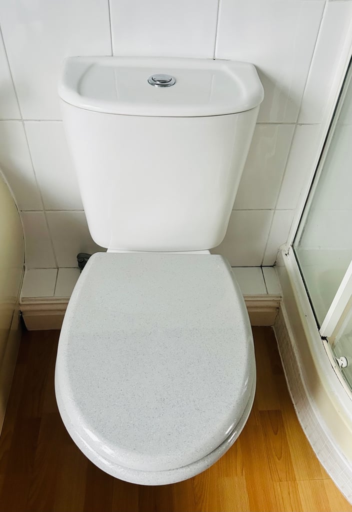 image for White Toilet & Cistern 