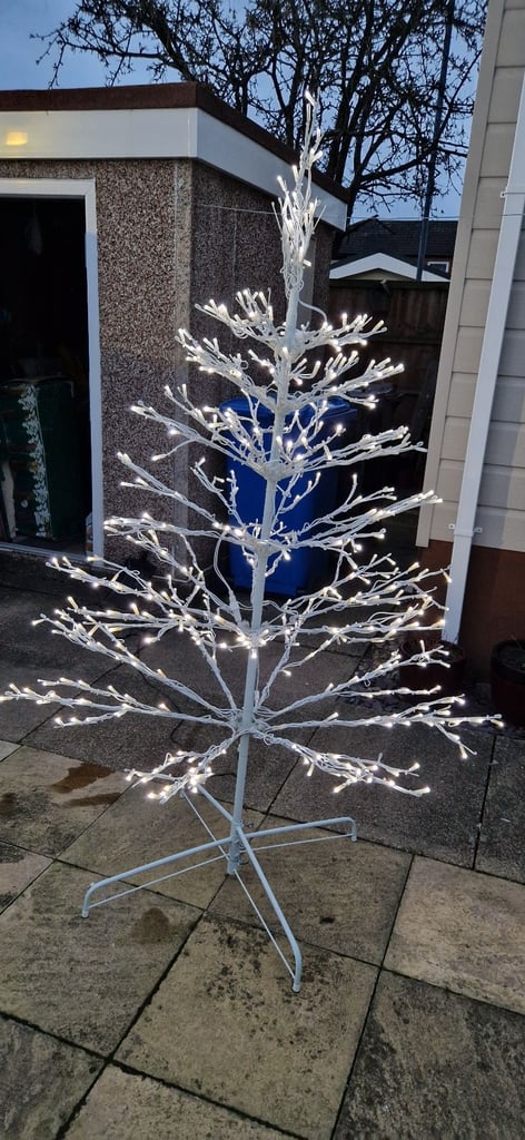 Indoor Outdoor Christmas tree.