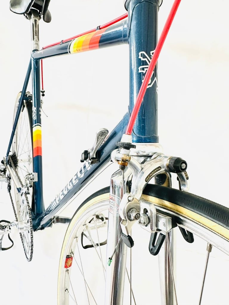 Pigeon VITUS Size/58 spDDd9a Original Spec Simplex Road Bike