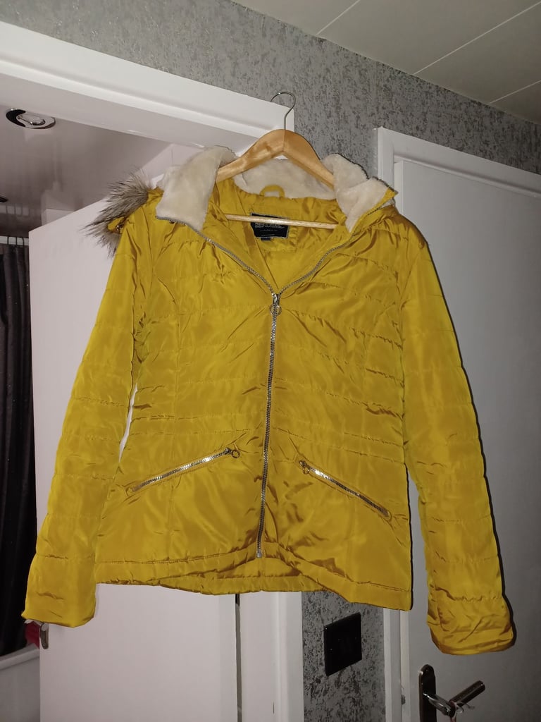 image for Regatta womens hooded padded coat