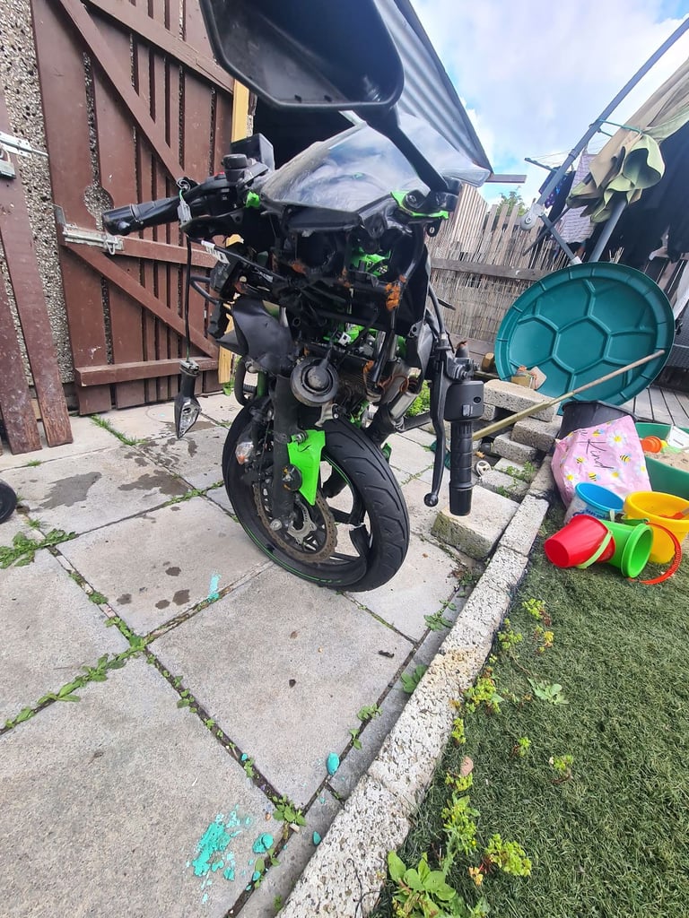 Kawasaki, NINJA, 2023, 125 (cc)