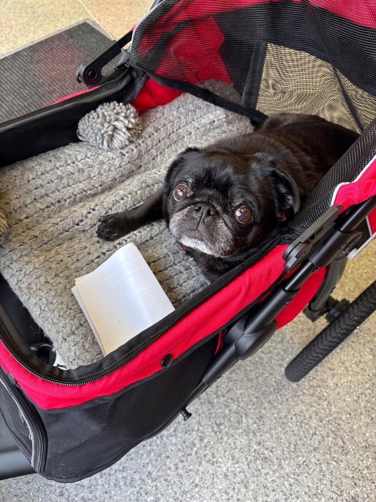 Brand new jogger pet pram 