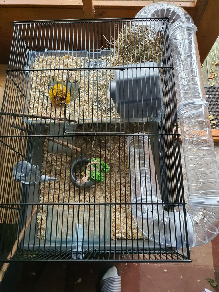 Hamster cage