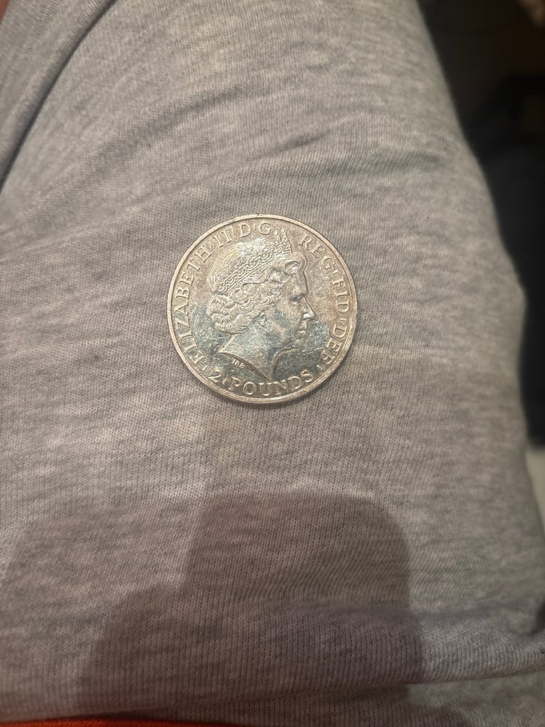 2014 Chinese new year silver coin