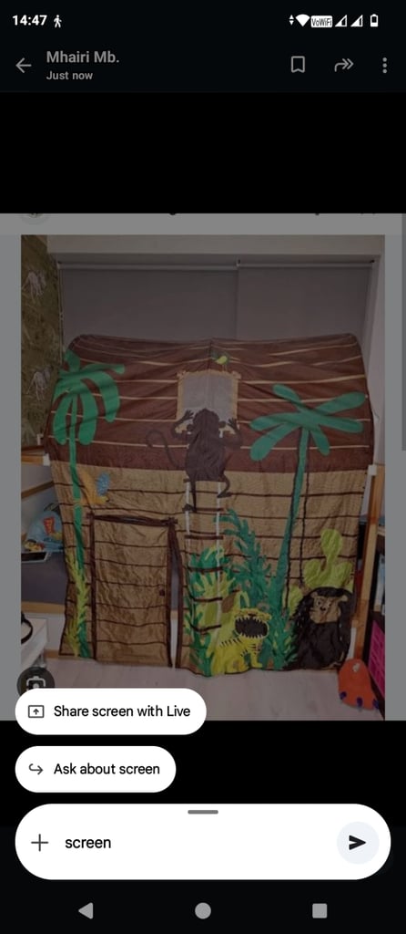 Children's cabin bed with canopy and underneath hiding place.