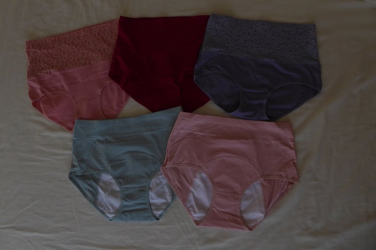 image for High waist knickers (NEW)
