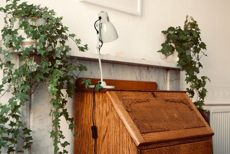 Beautiful, calm & affordable therapy space in Haymarket, Edinburgh 