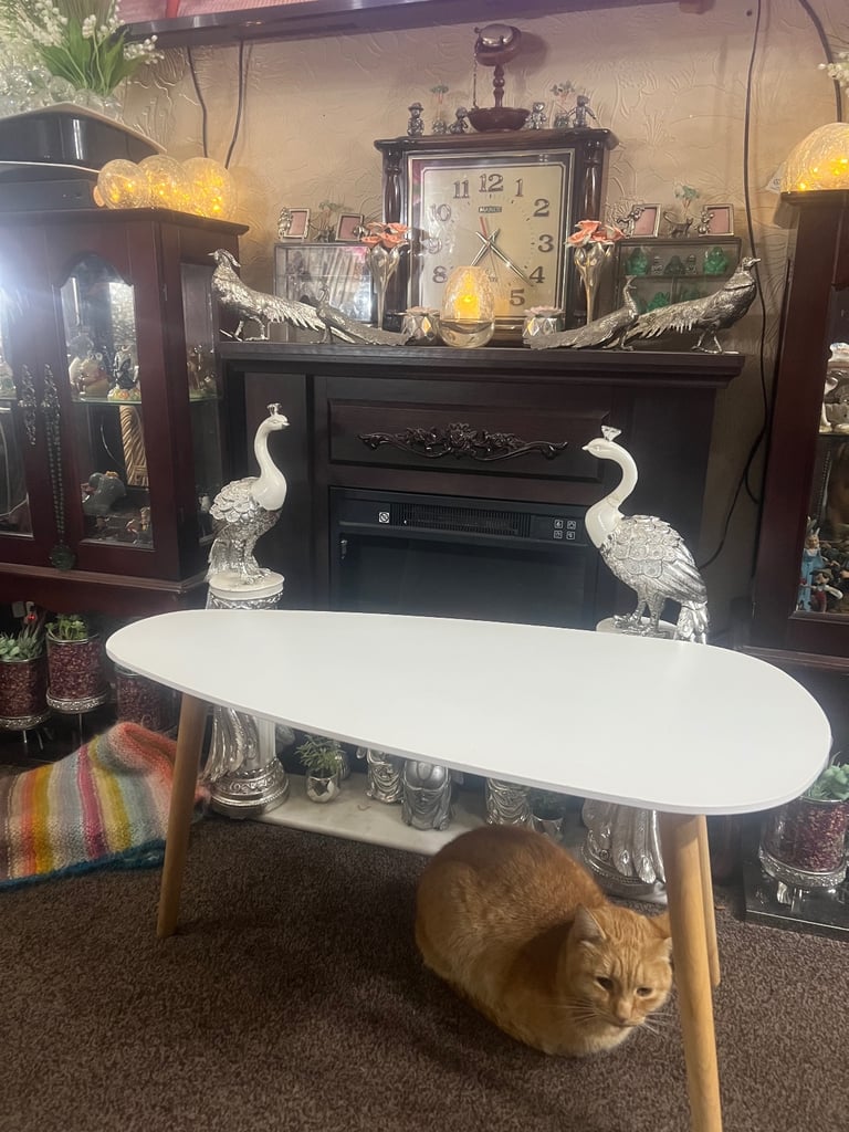 Modern style coffee table