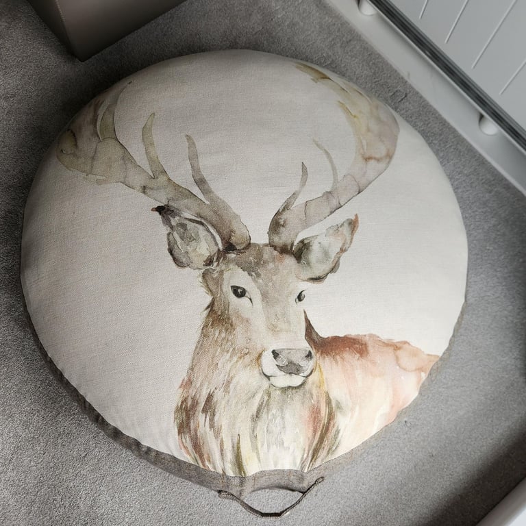 image for Large floor cushion indoors.