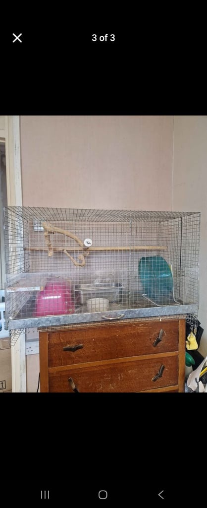 Small animal cage 