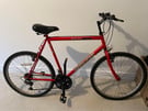 Red Adult Mountain Bike Red