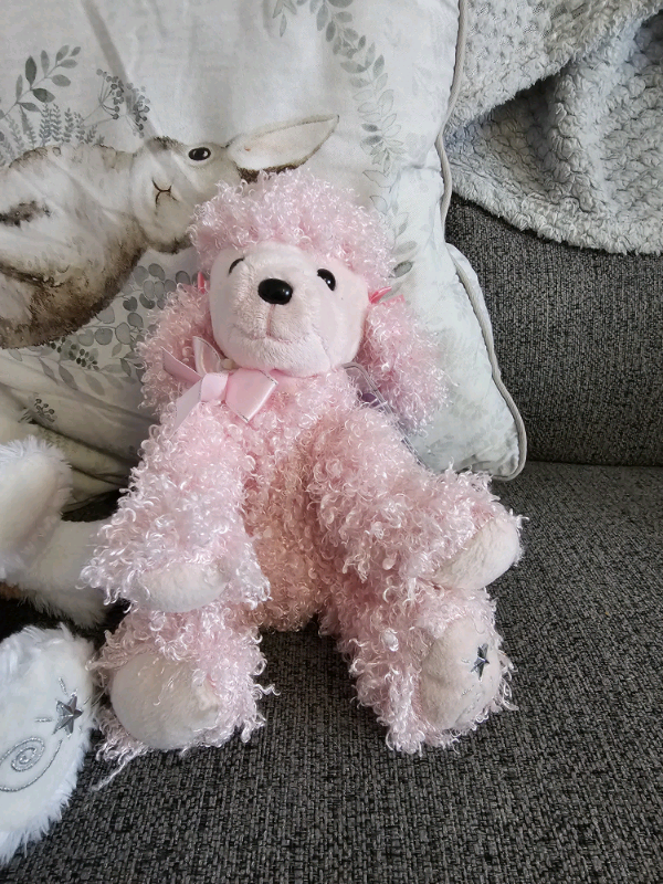 Shining star plush teddies with tags £8 each