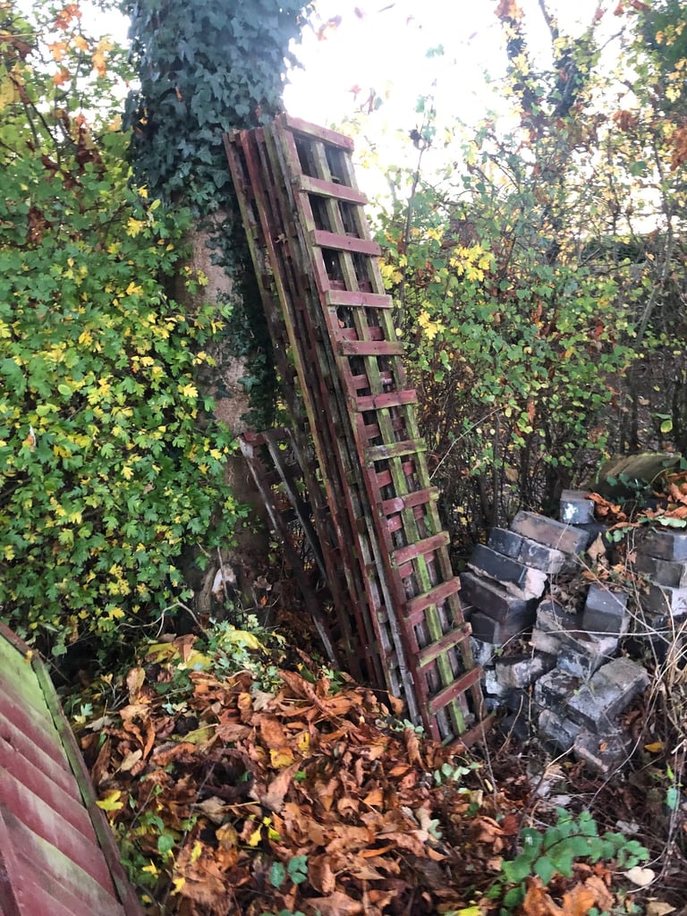 image for Fence trellis 6 x 1 