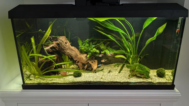 image for Juwel Primo 110L Fish Tank (Tank Only)