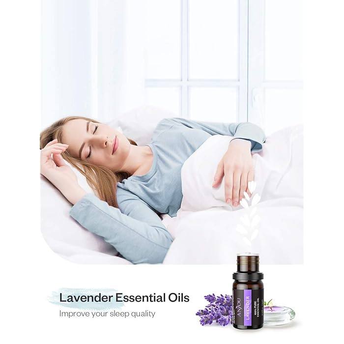 Diffuser & Body Aromatherapy Essential Oils 12pc Gift Set 