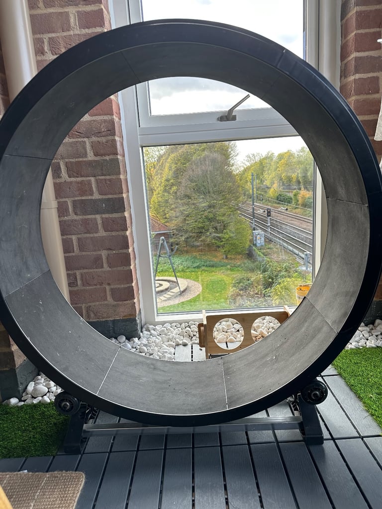 Feline Motion XL Cat Exercise Wheel 7th Gen