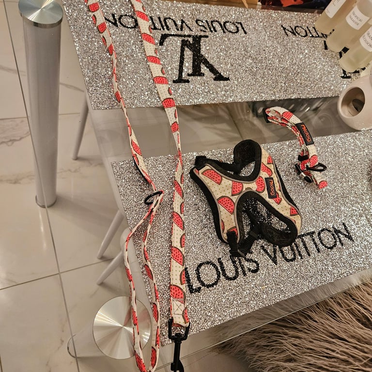 Dog lead harness & collar 