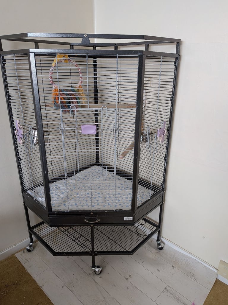 Liberta Alaska Play Top Corner Cage
