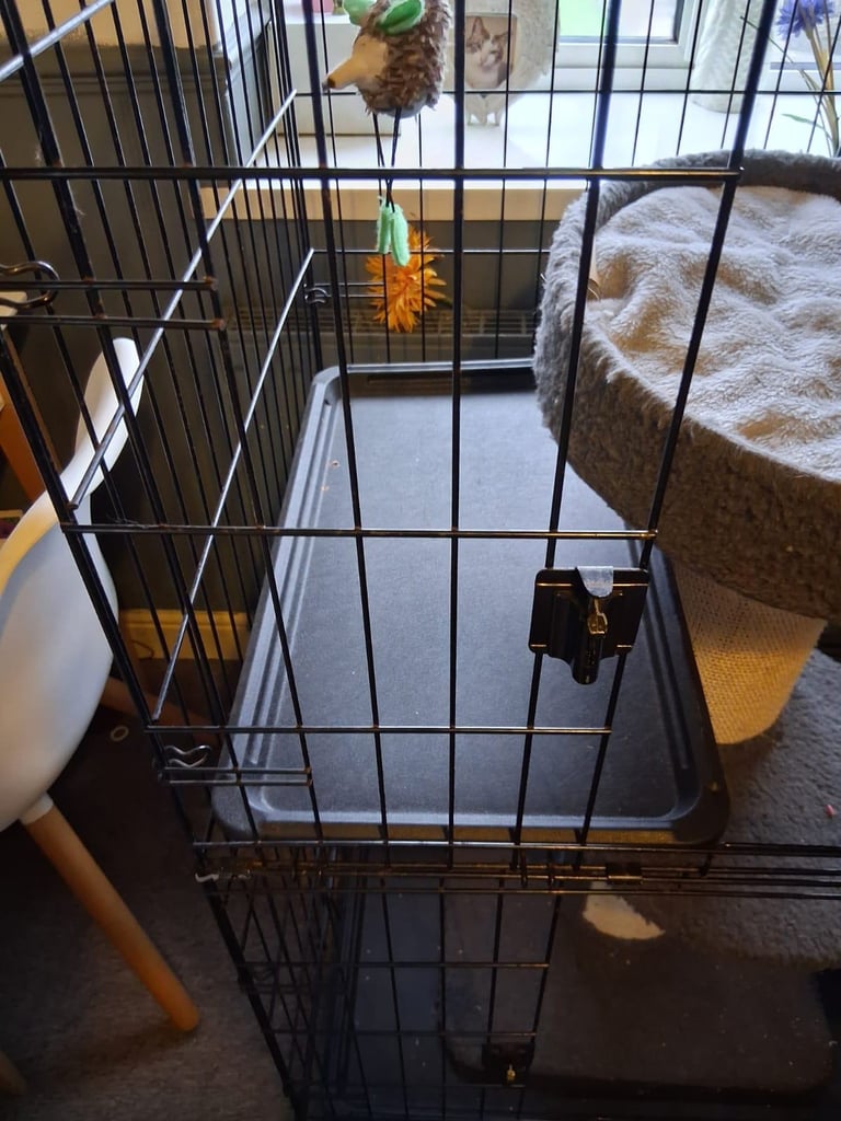 Catio cage