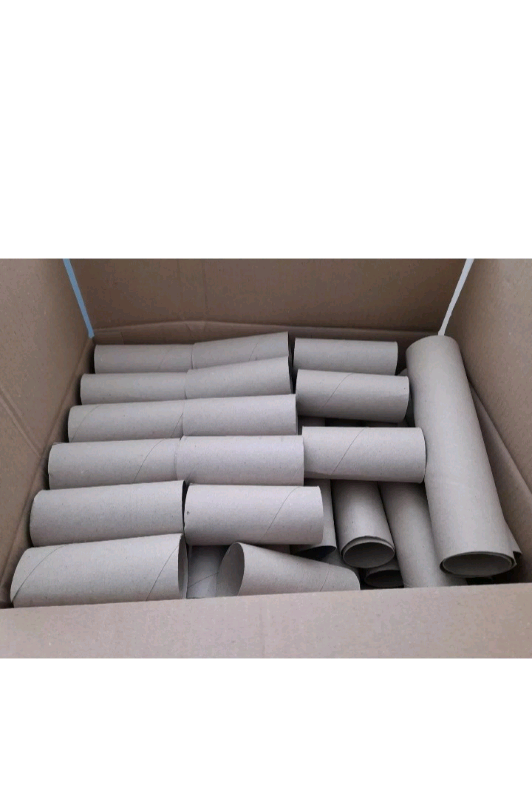image for Empty Cardboard Toilet Roll Tubes School Craft Gardening Seeds Plants