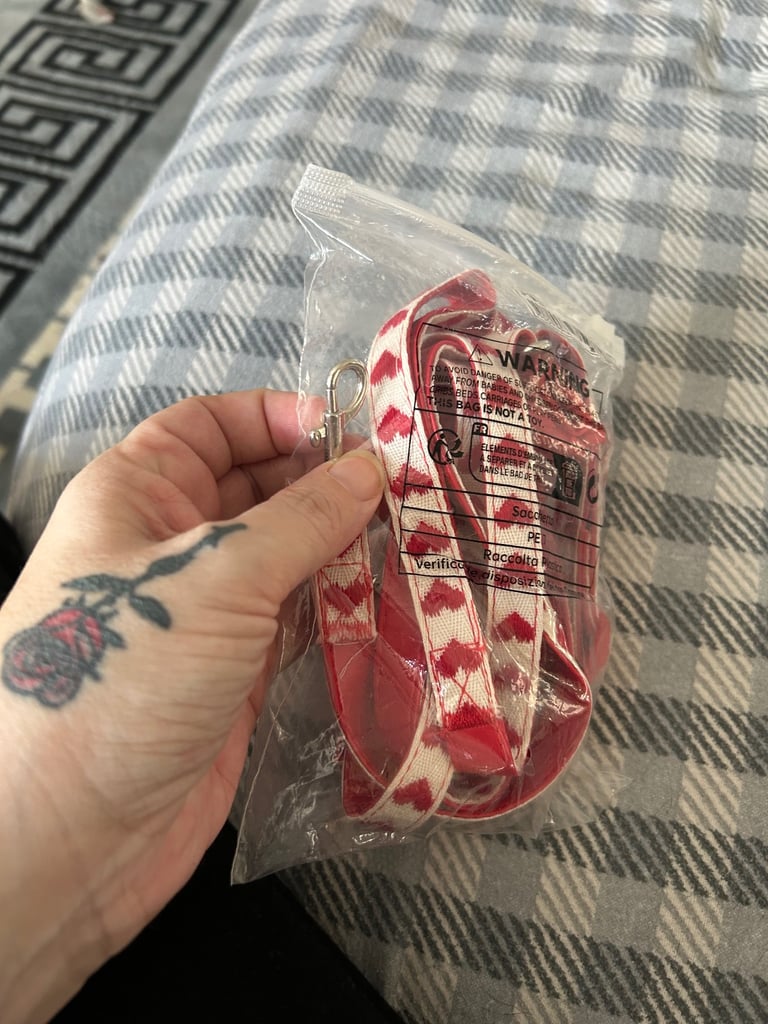 Dog collar and lead 