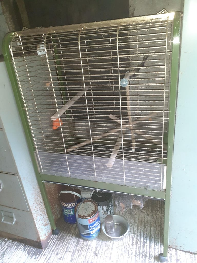 Bird Cage - FREE TO COLLECT