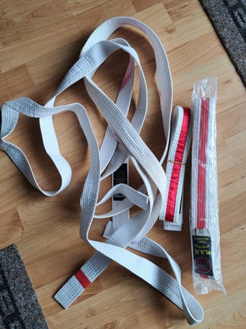 Martial arts sales belts for sale