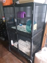 Double rodent cage 