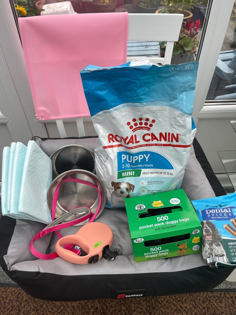 Pets starter ancillaries 