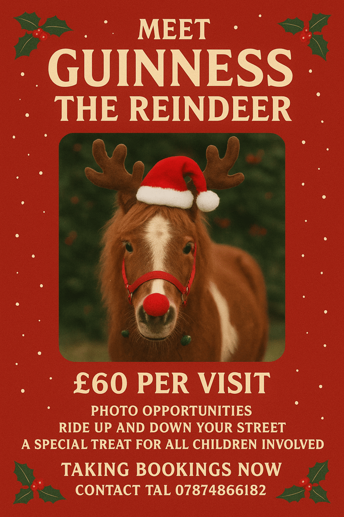 Guinness the reindeer 