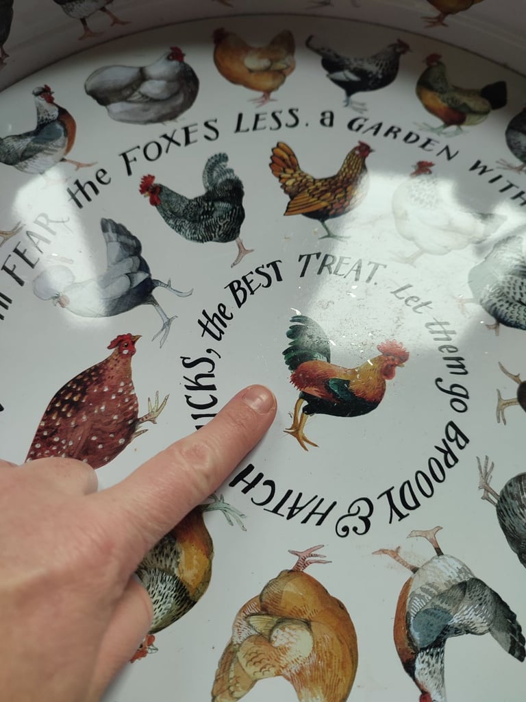 image for Emma Bridgewater Metal Chicken Tray