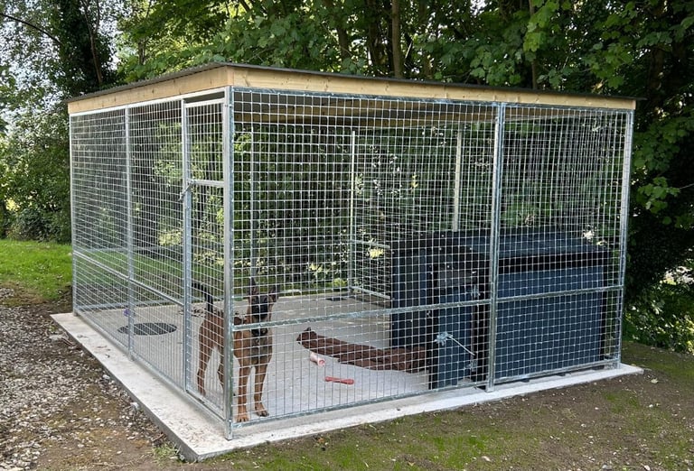Cat houses in Northern Ireland Gumtree