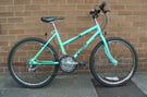 Raleigh Lizard Ladies mountain bike, 16.5 inch frame, (small adult or tall child).