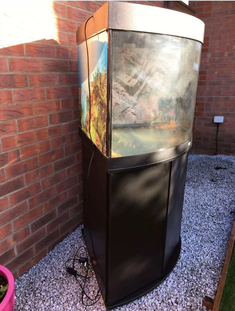 Juwel Trigon 190 Black fish tank aquarium tropical setup delivery 🚚