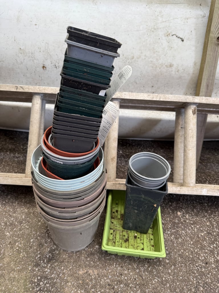 image for Free pots to collect 