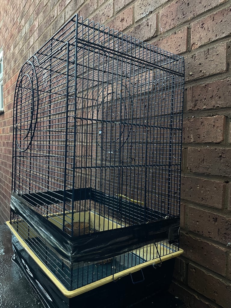 BIRD CAGE 