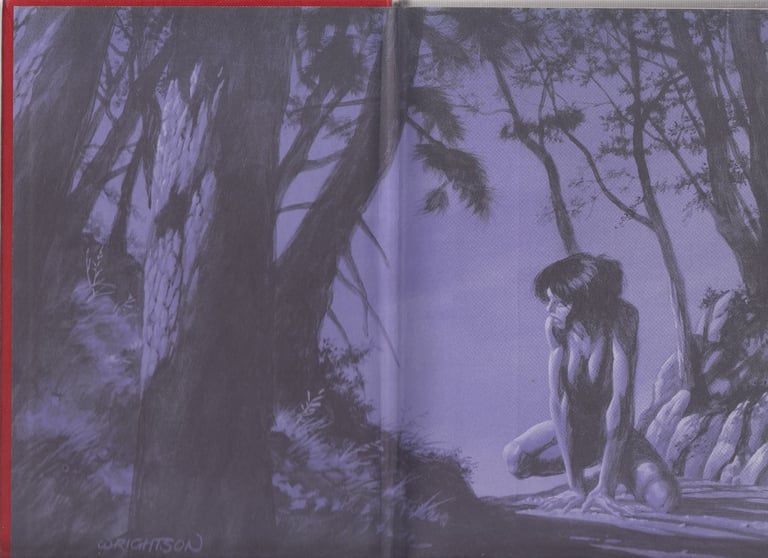 Two Stephen King Books. Wolves of the Calla, Rose Madder.