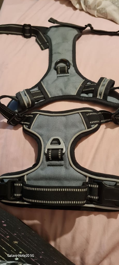 Dog Harness 