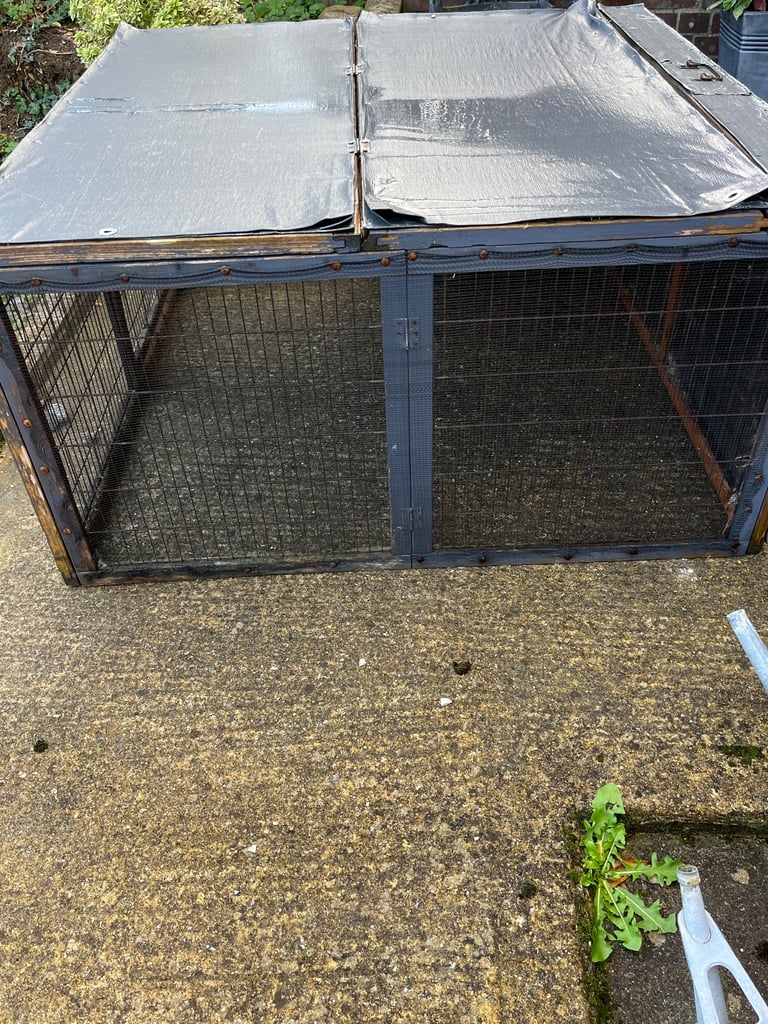 FREE Rabbit / guinea pig run 
