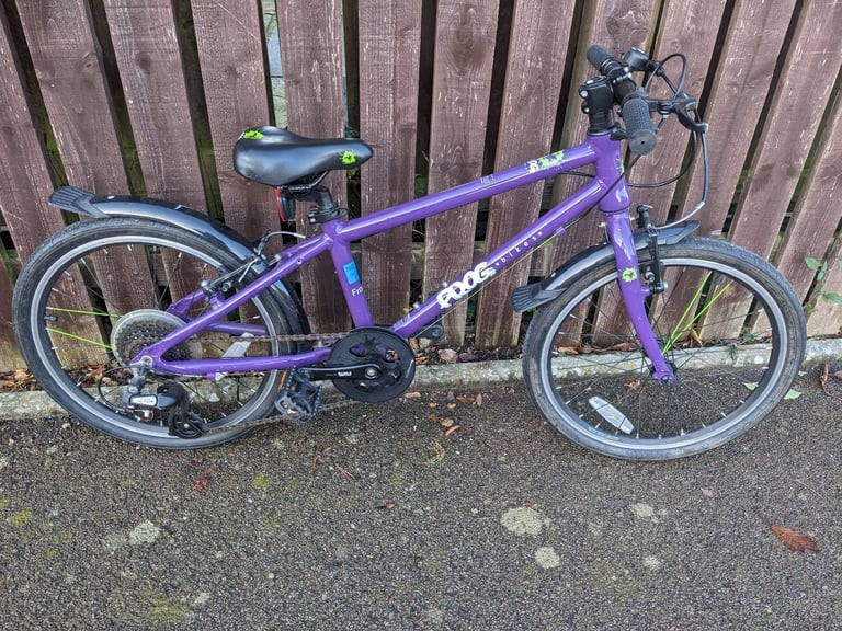 image for Frog 55 Purple