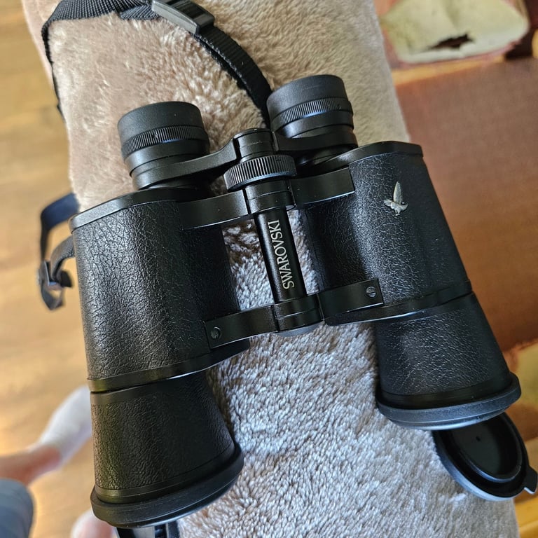 Swarovksi Binoculars 10 x 40 W 