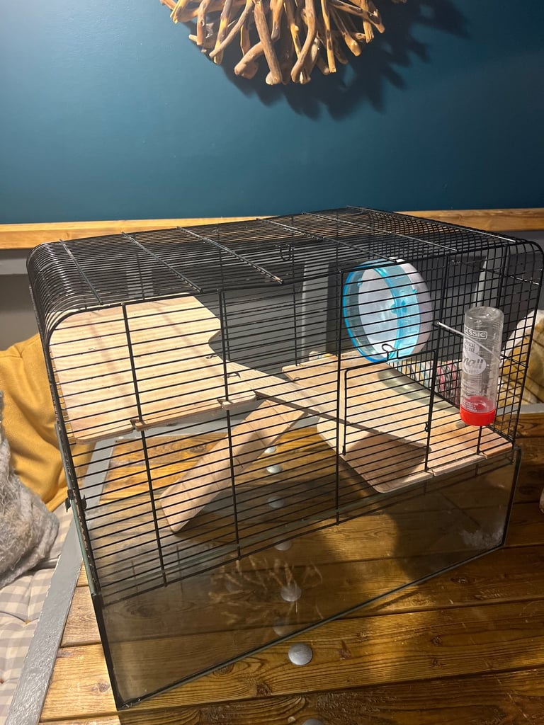 hamster cage (two available) 