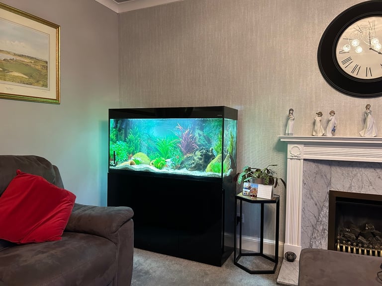 Aquael 240lt aquarium with black gloss base