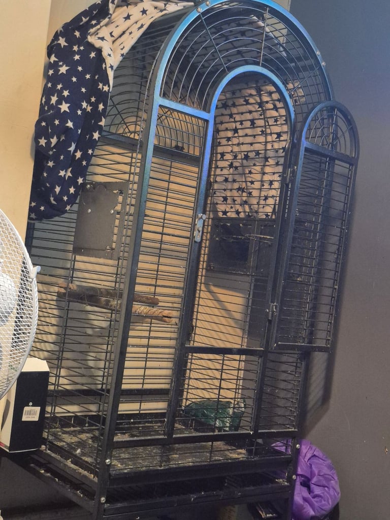 image for Bird cage