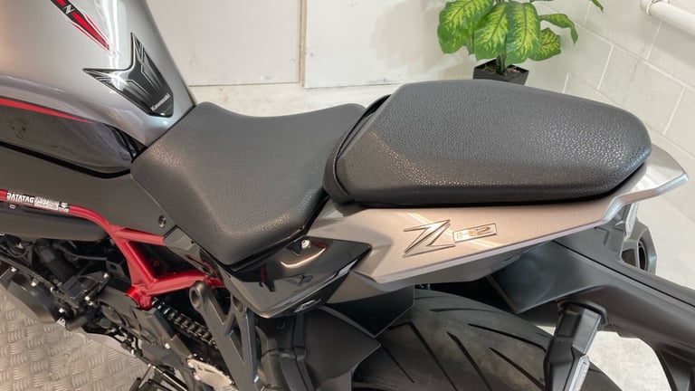 2022 Kawasaki Z R1000KNFAN (22MY) SPORTS Petrol Manual