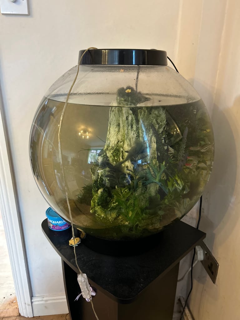 image for Bio orb 60 lts