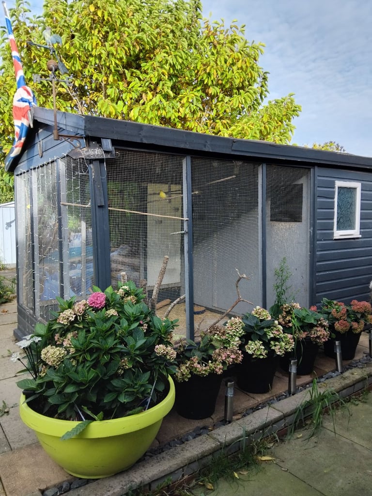 image for Bird avairy  open to offers 