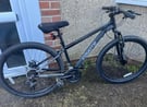 Gents mountain bike 