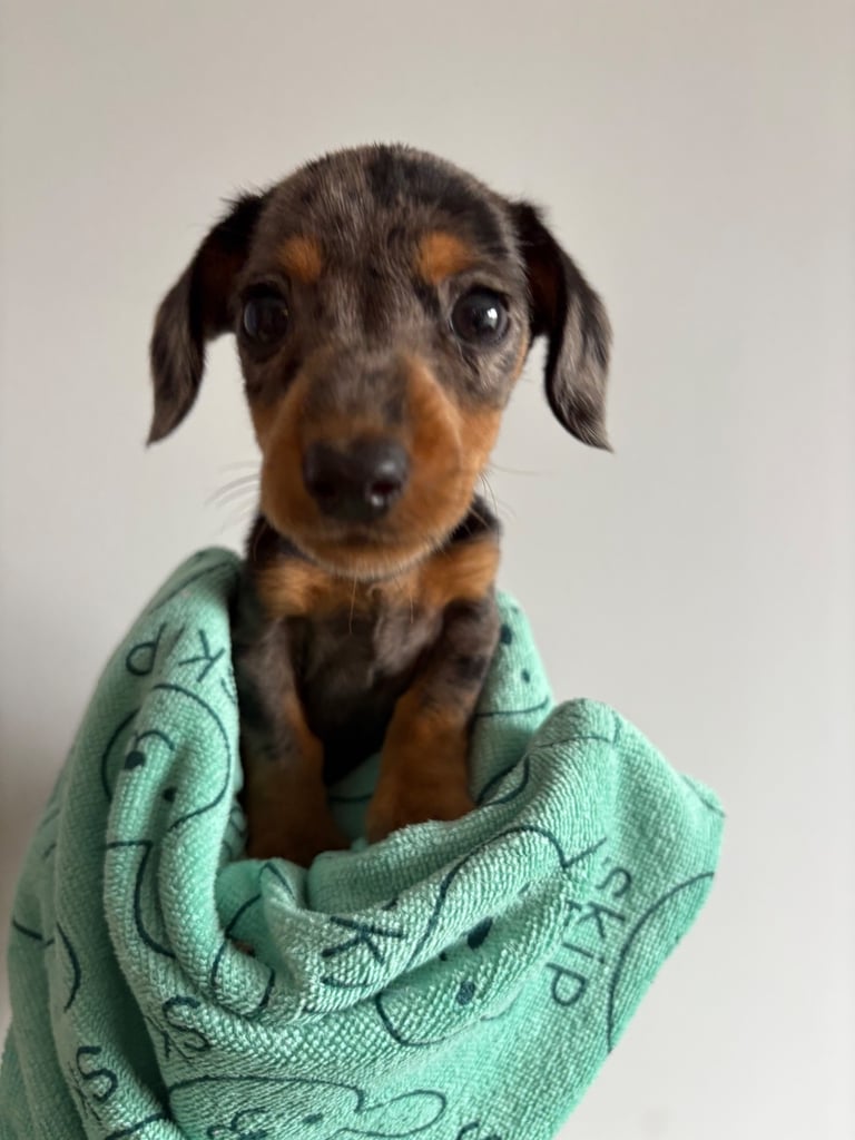 Beautiful wee boy left