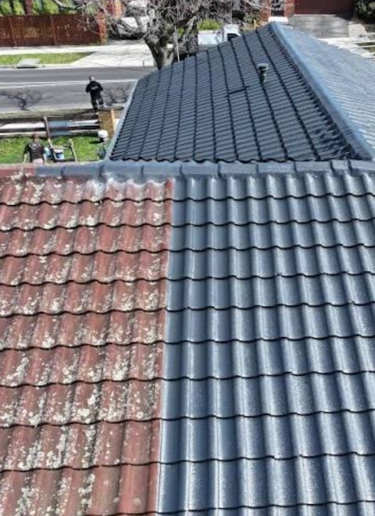 image for Roof repair, roof clean, foof paint..... From £95